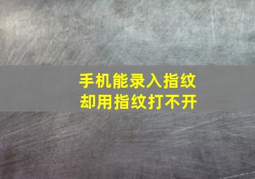 手机能录入指纹 却用指纹打不开